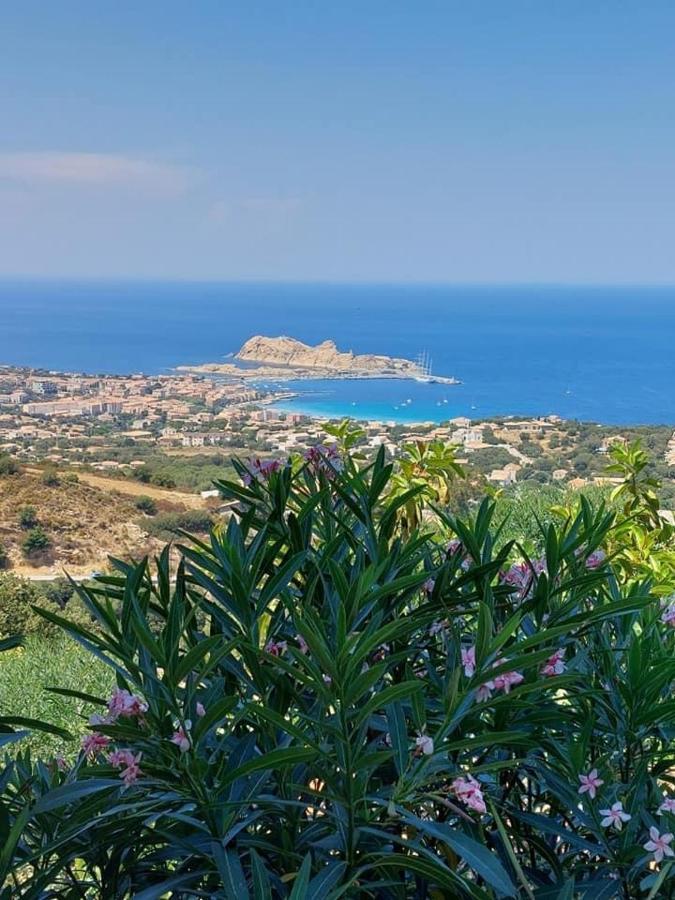 Appartement T4 Tres Bien Situe Et Climatise LʼÎle-Rousse Eksteriør billede